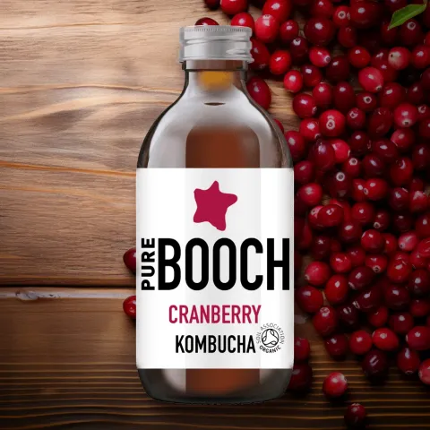 Purity Pure Booch Cranberry Kombucha Bottle (0.5% ABV)