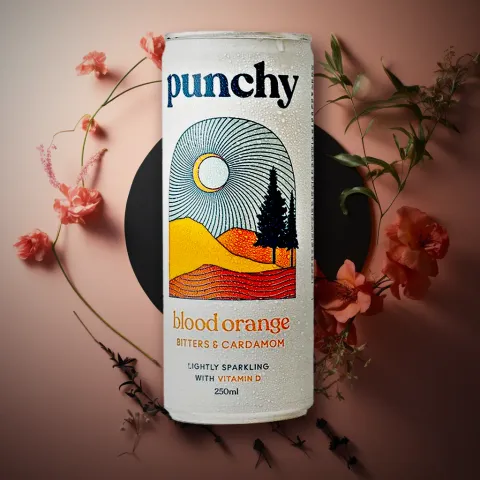 Punchy Blood Orange, Bitters, Cardamom (0% ABV)